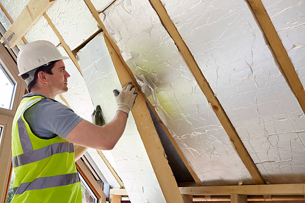 Best Eco-Friendly or Green Insulation Solutions  in Sealy, TX